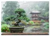 Bonsai meditativ (Wandkalender 2027 DIN A4 quer), CALVENDO Produktbild-Vorschau 4