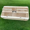 Transportkorb Transportkiste Transportbox für Tauben Produktbild-Vorschau 8