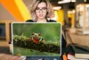 MuchoWow® Laptop Aufkleber Sticker Cover Rotäugiger Produktbild-Vorschau 5