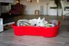 Piscine pour chiens DogsLand en forme d'os - 120 cm, rouge, Voir les images du produit 11