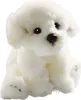 Carl Dick Bichon cane seduto ca. 24 cm 3216 Peluche, Anteprima dell’immagine prodotto 1