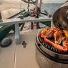 COBB Holzkohlegrill Supreme Deluxe 2.0 M:50x36cm inkl. Produktbild-Vorschau 19