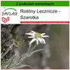 SAFLAX - Szarotka - 500 Nasiona - Z podłożem uprawowym Podgląd zdjęcia produktu 9