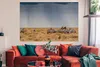 MuchoWow® Poster Gruppe von Zebras in freier Wildbahn Produktbild-Vorschau 2