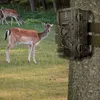 Fotopułapka IR Kamera Leśna Myśliwska POLSKIE MENU na kartę Podgląd zdjęcia produktu 9