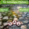 Unkrautbürste für Freischneider & Motorsense Zubehör inkl. Produktbild-Vorschau 7