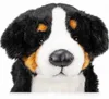 Carl Dick Berneński pies pasterski, pies, ok. 40 cm 1542001 Podgląd zdjęcia produktu 10