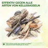 Green Guardia Kellerasseln Falle mit Spezial-Lockstoff – 6x Produktbild-Vorschau 5