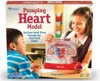 Learning Resources Pumping Heart Model, 8 Jahr(e), Produktbild-Vorschau 2