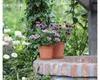 Two terracotta pots with purple flowers are placed on a brick structure in a garden setting. Produktbild-Vorschau