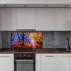 Coloray Spritzschutz aus Glas 140x70  Wandkunst Produktbild-Vorschau 4