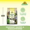 Neudorff NeudoHum Kakteen- & SukkulentenErde 3 Liter Produktbild-Vorschau 3