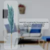LAYBA Künstliches Pampasgras 3er-Set Blau 100 cm, 18 Produktbild-Vorschau 5