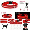 LED Hundehalsband USB aufladbar reflektierend Produktbild-Vorschau 2