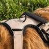 Belviona anti-trek hondenharnas, gevoerd Y-harnas voor Productafbeelding-voorbeeld 3