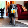 Chuckit! Ball Indoor 13 cm Apportierball Produktbild-Vorschau 17