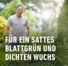 COMPO Buchsbaum- und Ilex Langzeit-Dünger - 2 kg für ca. 35 Produktbild-Vorschau 6