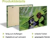 ARTland Leinwandbilder Set, 4tlg. Lavendel, Rosmarin, Produktbild-Vorschau 4