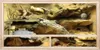 Repiterra® Terrarium für Schildkröten Holzterrarium OSB Produktbild-Vorschau 3