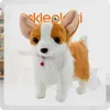 Lolex | Interaktiver Hund - Corgi - Bunt - Realistische Produktbild-Vorschau 4
