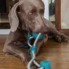 Hundespielzeug mit Saugnapf Hunde Spielzeug Hundespielzeug Produktbild-Vorschau 3