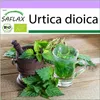 SAFLAX - BIO - Žihľava - Urtica dioica - 2000 Semená Náhľad obrázku produktu 10