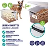 DEUBA® Aufbewahrungsboxen 6 x 60l mit Deckel und Rollen, Produktbild-Vorschau 4