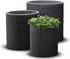 Three dark grey cylindrical planters of varying sizes, one containing a green plant. Produktbild-Vorschau