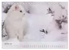 Katzen 2027 Bezaubernde Samtpfoten (Tischkalender 2027 DIN Produktbild-Vorschau 4