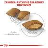 Royal Canin Mini Exigent, Adult, Klein (5-10 kg), 3 kg Produktbild-Vorschau 7