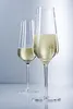Sekt- / Champagnerglas 'Fortissimo' Gr. 7 Produktbild-Vorschau 11