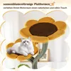 A cat is resting on a sunflower-shaped cat tree platform. Podgląd zdjęcia produktu