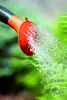 Gartengießkanne Agri 10l IKAG100 Produktbild-Vorschau 7