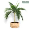holz4home® Outdoor Pflanzkübel XL I 6-Eckig aus Tannenholz Produktbild-Vorschau 7
