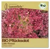 Samenliebe  Salat Samen | Lollo Rossa - rot & stark Produktbild-Vorschau 1