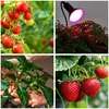 Pflanzenlampe KOBI PLANTY CLIP B E27 für Produktbild-Vorschau 6
