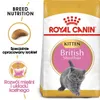 Royal Canin Feline British Shorthair Kitten - 2 kg Podgląd zdjęcia produktu 1