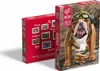 Puzzle 1000 piese Bon Voyage! 30387 Cherry Pazzi Náhľad obrázku produktu 7
