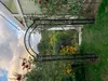 GardenAndPools Łuk różany Classic Garden B 1,40 m pergola Podgląd zdjęcia produktu 3