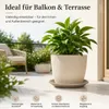 Sottovaso per piante Mira Taupe Ø 39 cm - Resistente al Anteprima dell’immagine prodotto 2