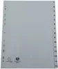 Exacompta Forever - Trennelement - 15 Teile - vorgedruckt: Produktbild-Vorschau 1