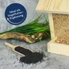 Raps Vogelfutter 25 kg, reich an Proteinen und Produktbild-Vorschau 3