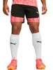 Puma Individualfinal Ff. Shorts 65926657 Herren Produktbild-Vorschau 1
