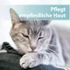 Felisept Hautpflegespray für Katzen 250ml - Milbenspray Produktbild-Vorschau 4