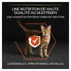 Purina Original OPTISenses, Adult, Lachs, 3 kg, Produktbild-Vorschau 9