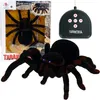 Obrovský pavúk na diaľkové ovládanie Tarantula s diaľkovým Náhľad obrázku produktu 1
