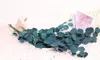 Eucalyptus Fleurs Séchées Durabilité Eternelle Bouquet de Voir les images du produit 1
