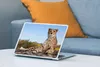 MuchoWow® Laptop Aufkleber Sticker Cover Leopard - Tiere - Produktbild-Vorschau 4