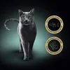 A grey cat is shown against a dark background with two circular marketing badges on the right. Voir les images du produit