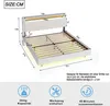 Flieks Polsterbett 160x200cm mit USB, Jugendbett Doppelbett Produktbild-Vorschau 7